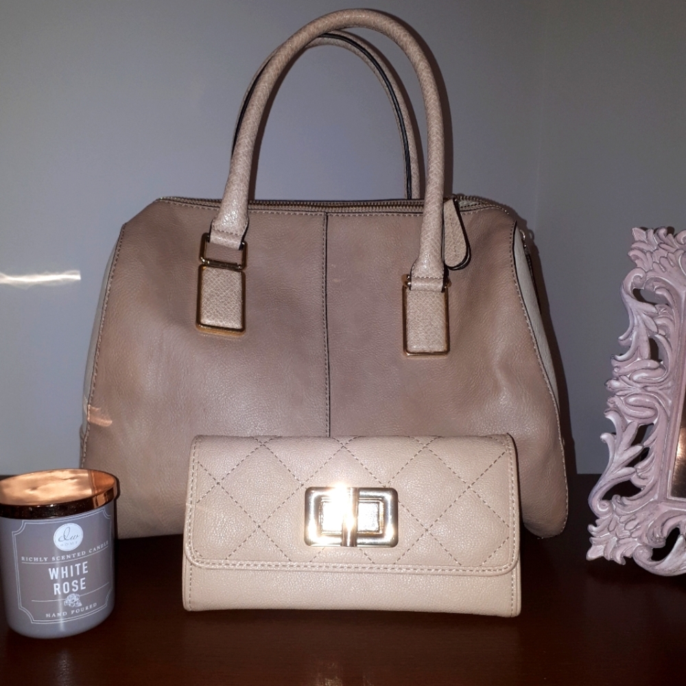 ALDO HAND BAG + WALLET